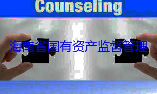 资产监督管委副书记王有福接受审理委员会党查调查海南省国有