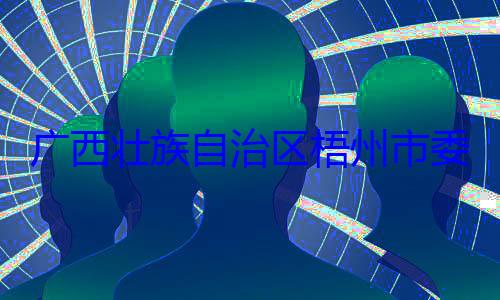 治区梧州市广西壮族自被查委副书记市长李振品